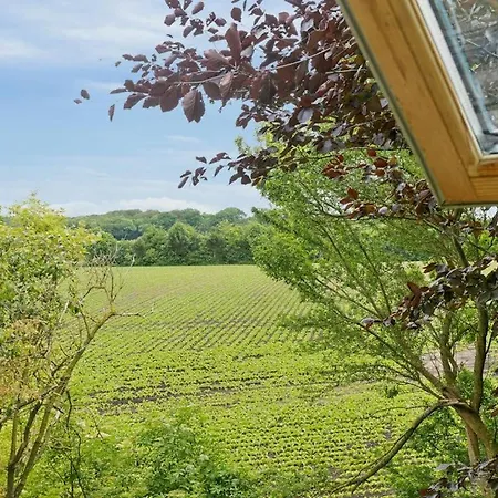 Ferienhaus Quiet Hideaway Surrounded By Nature Vesterborg